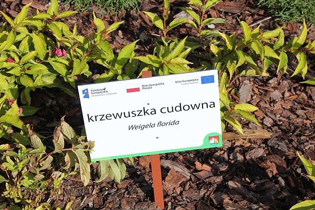 „Morskie Oko” w zielonej odsłonie