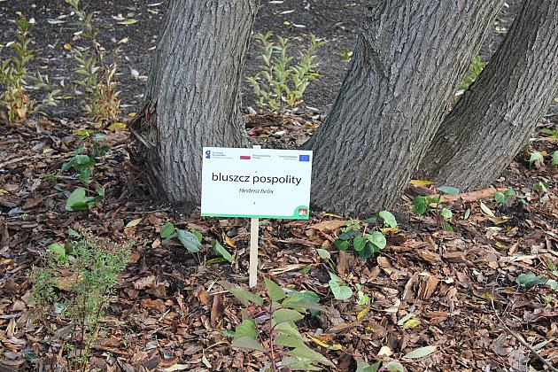 Nowy minipark przy ulicy Gierymskiego