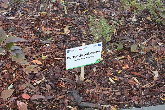 Nowy minipark przy ulicy Gierymskiego