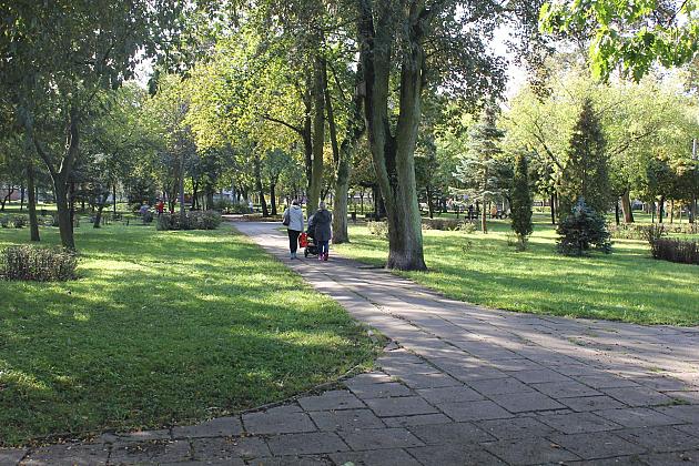 Park Michalskiego – ruszył II etap „Zielonej Rewolucji”