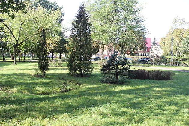 Park Michalskiego – ruszył II etap „Zielonej Rewolucji”