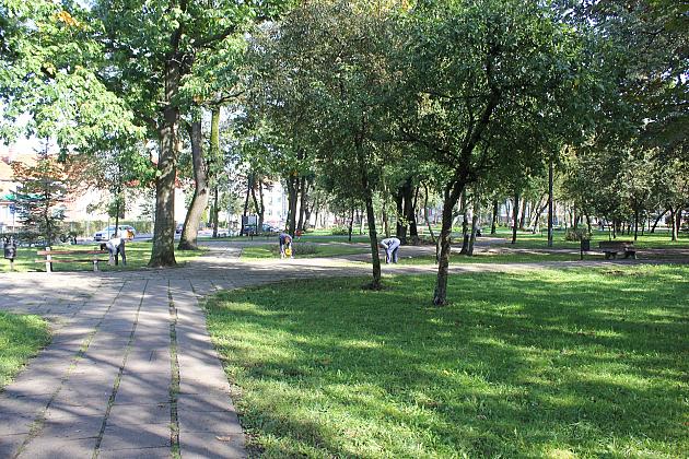 Park Michalskiego – ruszył II etap „Zielonej Rewolucji”