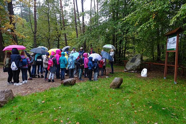 Pogoda niestraszna rajdowiczom