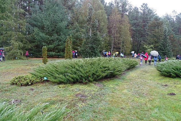 Pogoda niestraszna rajdowiczom