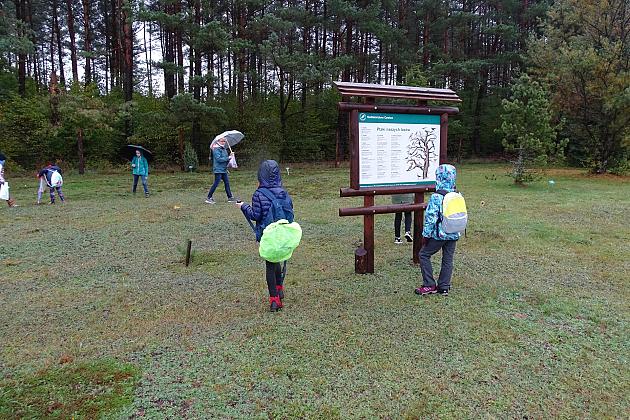 Pogoda niestraszna rajdowiczom