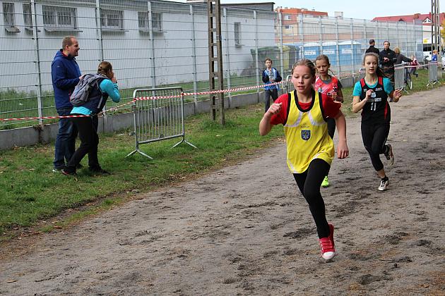 Biegi o Puchar Grand-Prix Lęborka