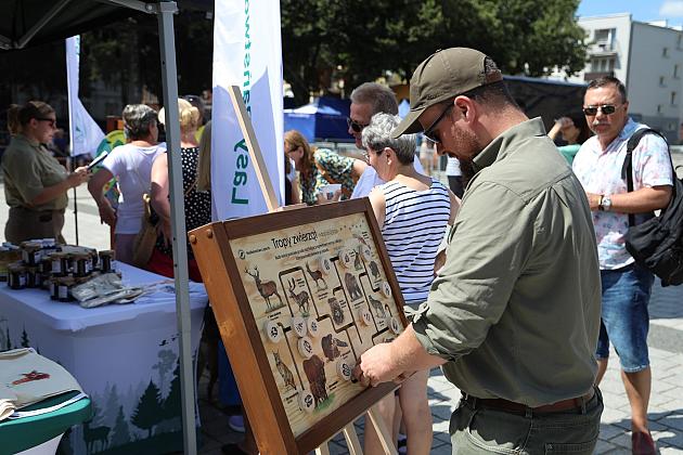 Jarmark św. Jakuba AD 2024