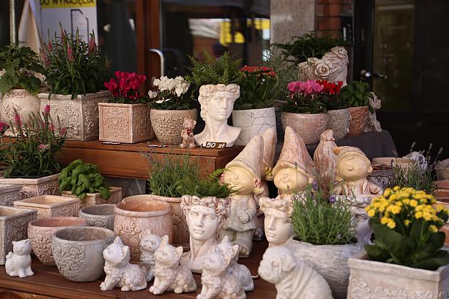 Jarmark św. Jakuba AD 2024