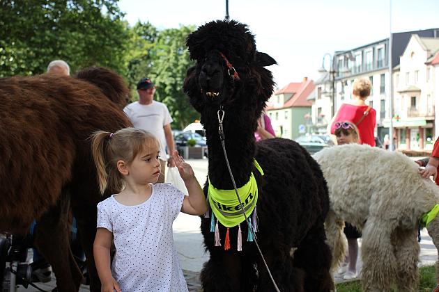 Letnie czwartki z książką i… niespodzianką!