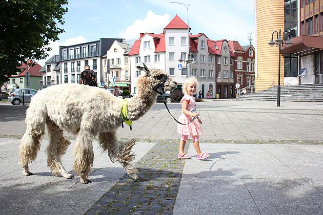 Letnie czwartki z książką i… niespodzianką!