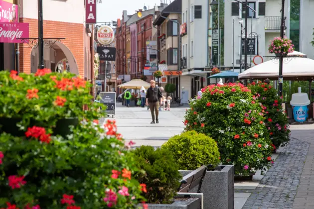 Kwiatowe aranżacje zdobią Plac Pokoju i ulicę Staromiejską