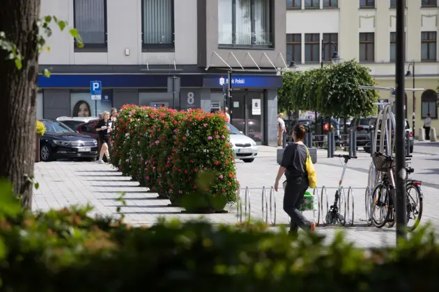 Kwiatowe aranżacje zdobią Plac Pokoju i ulicę Staromiejską