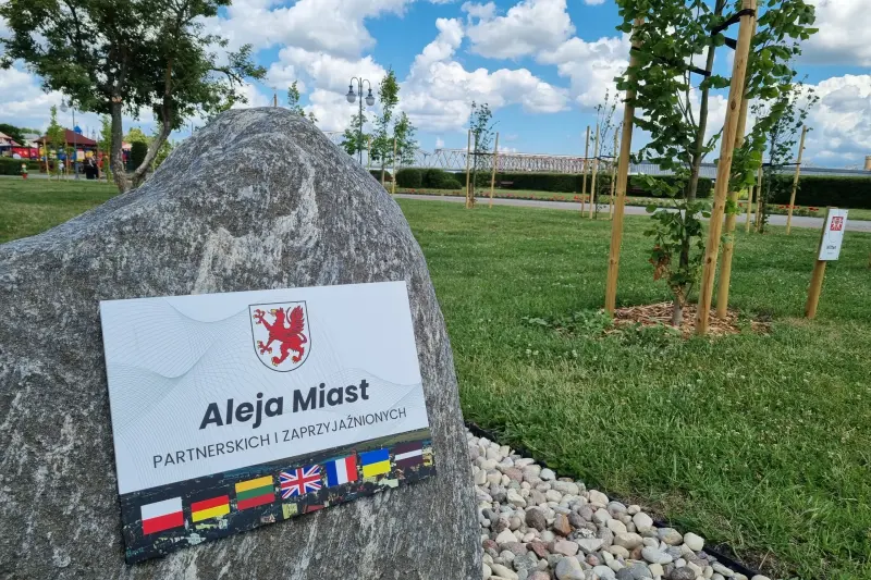 Lipa dla Lęborka rośnie w Tczewie. Powstała Aleja Miast Partnerskich i Zaprzyjaźnionych